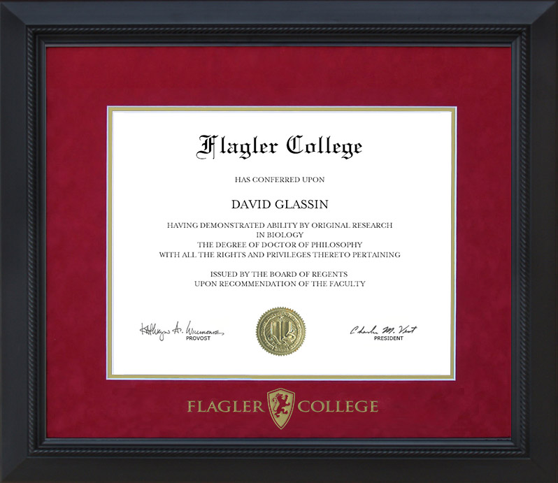 Flagler College Diploma Frame with Embossed UltraSuede Matting