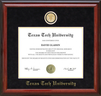 Texas Tech Diploma Frame with School Medallion