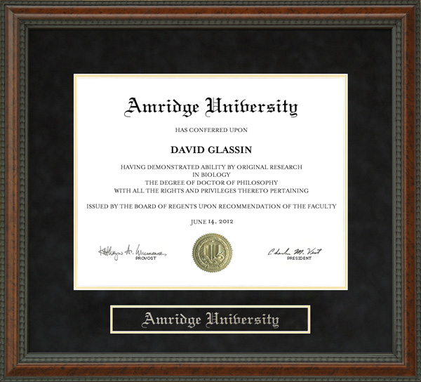 Amridge University Diploma Frame