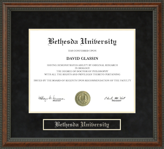 Bethesda University Diploma Frame by Wordyisms