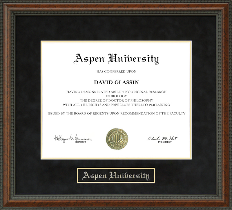 Aspen University Diploma Frame