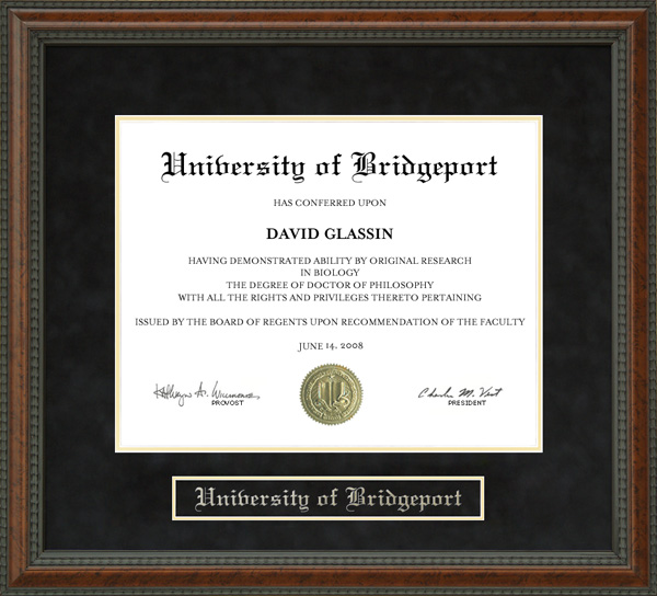 University Of Bridgeport Id Card