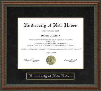University of New Haven (UNH) Diploma Frame