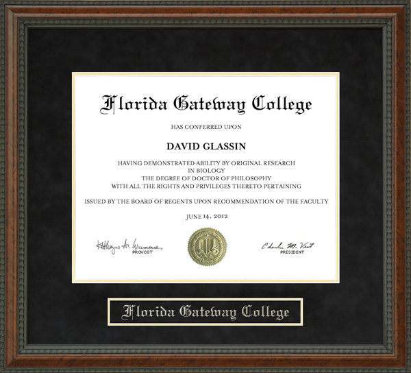 Signature Announcements Florida-Gateway-College Undergraduate Professional/Doctor Sculpted Foil Seal & Name Graduation Diploma Frame 16 x 16 Gold Accent Gloss Mahogany