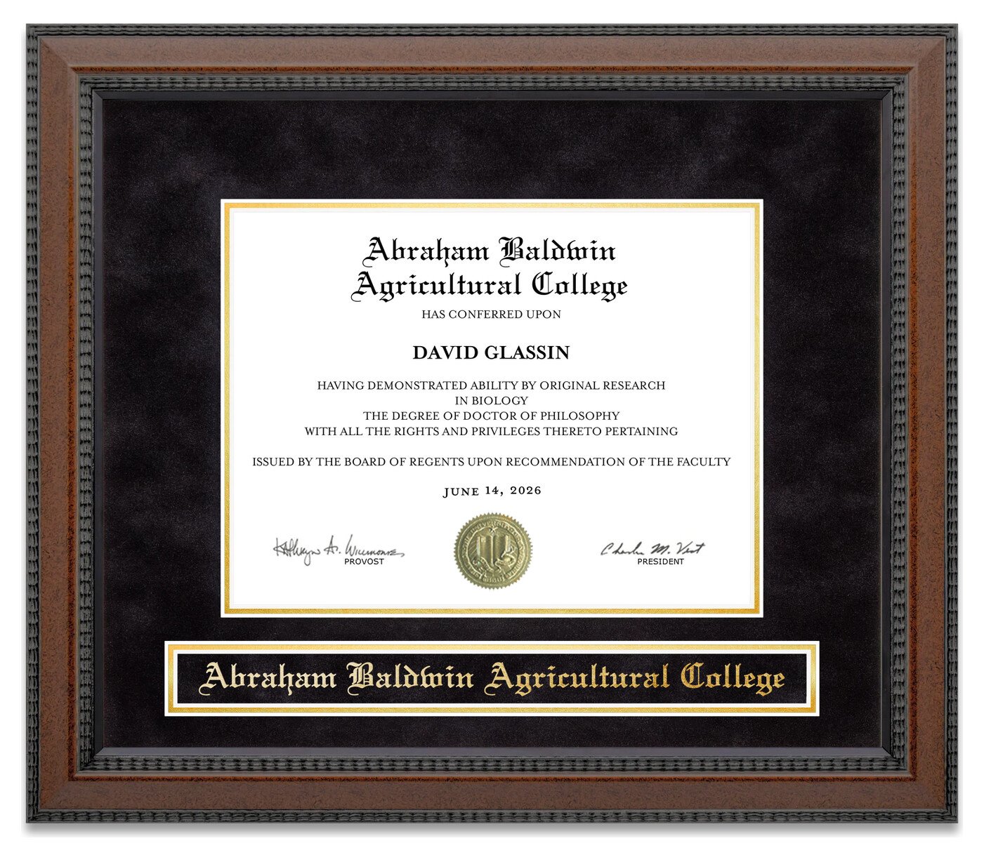 Abraham Baldwin Agricultural College Diploma Frame - handcrafted diploma frame by Wordyisms