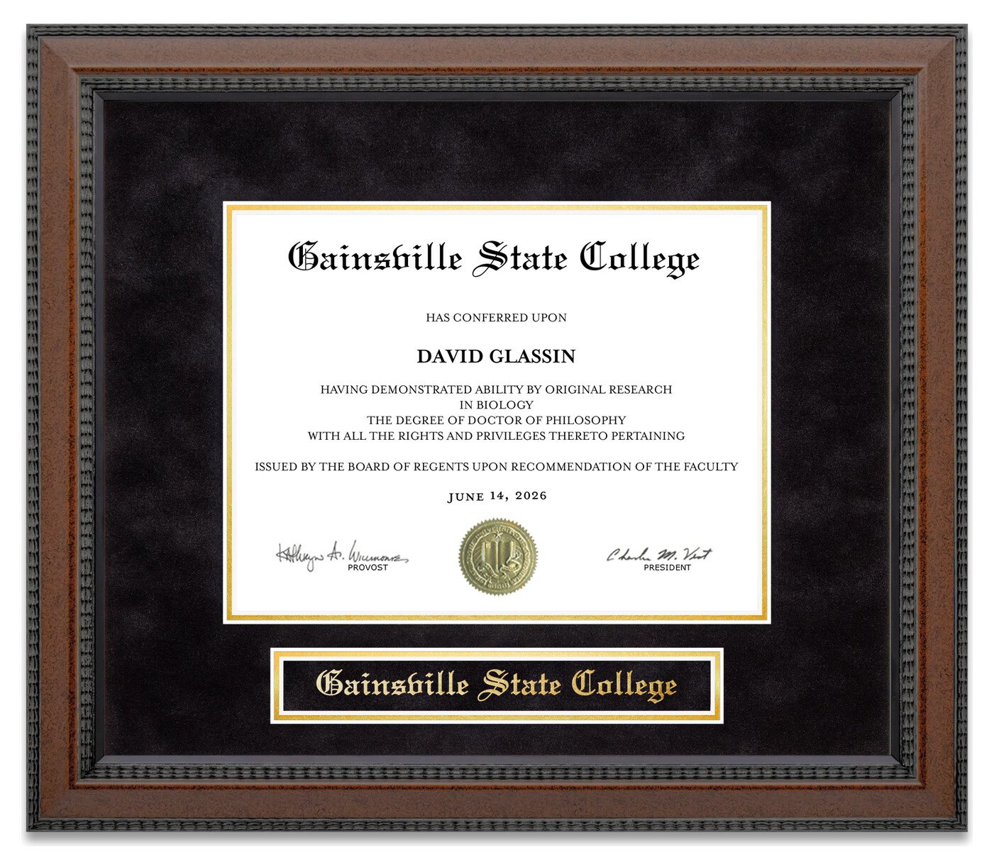 Gainsville State College (GSC) Diploma Frame - handcrafted diploma frame by Wordyisms