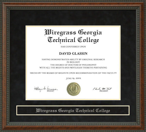 Wiregrass Georgia Technical College Diploma Frame