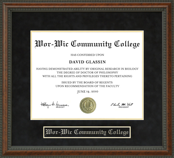 Wor-Wic Community College Diploma Frame