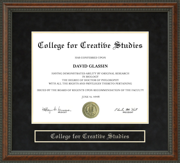 College for Creative Studies (CCS) Diploma Frame