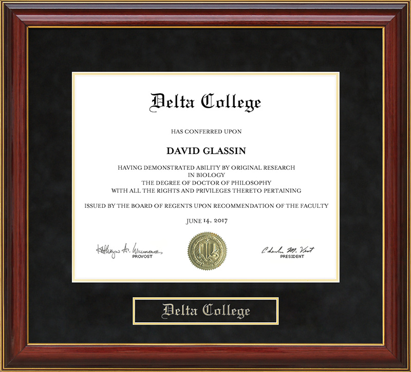 Delta College Mahogany Diploma Frame
