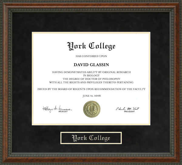 York College Diploma Frame