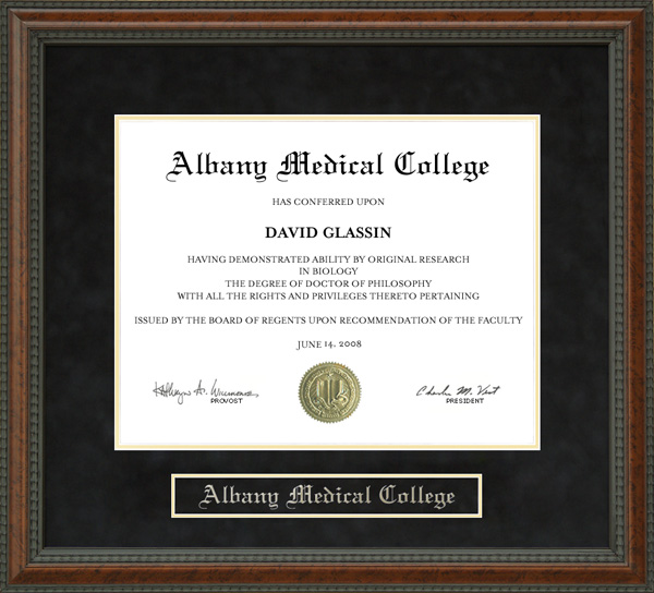 Albany Medical College (AMC) Diploma Frame