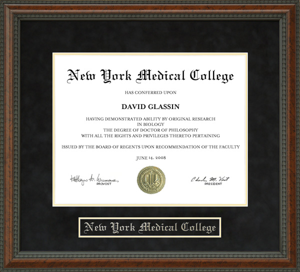 New York Medical College (NYMC) Diploma Frame by Wordyisms