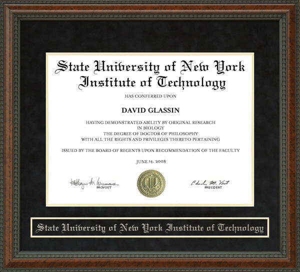 State University of New York Institute of Technology (SUNYIT) Diploma Frame