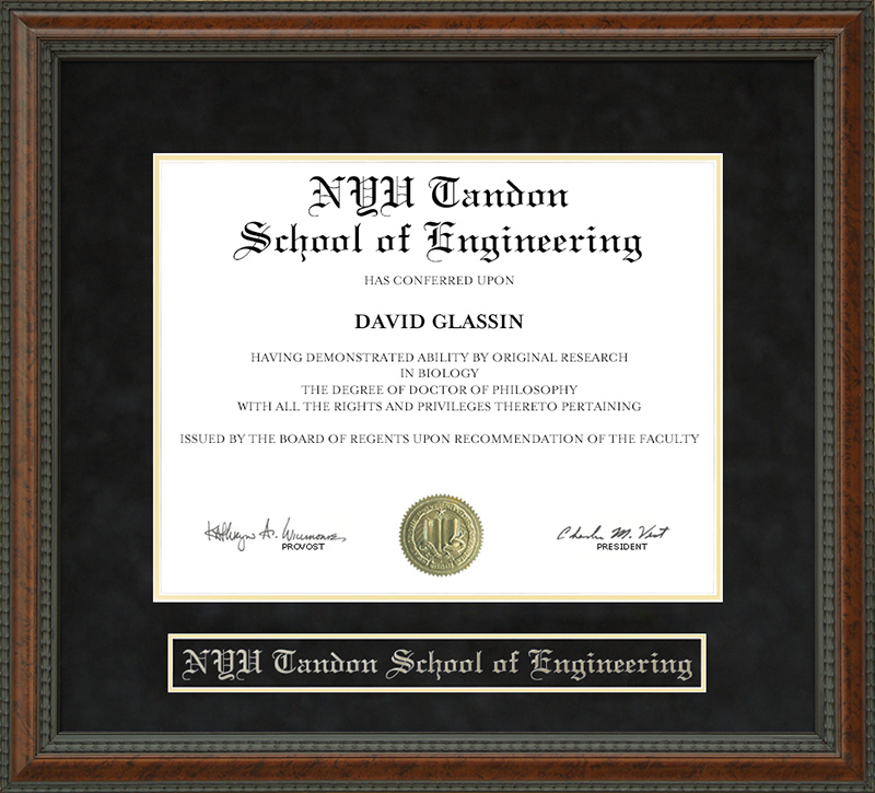 NYU Tandon School of Engineering Diploma Frame