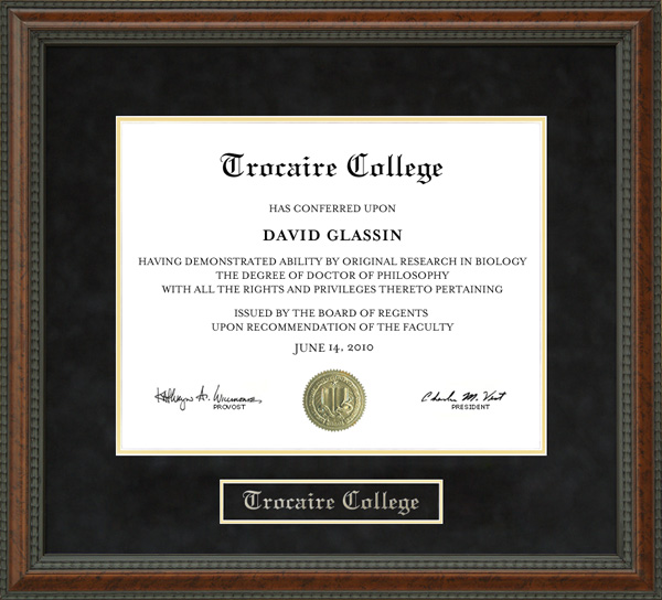 Trocaire College Diploma Frame