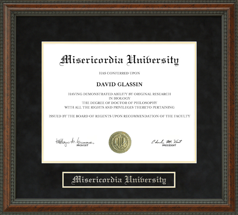 Misericordia University Diploma Frame