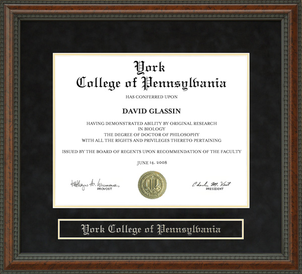 York College of Pennsylvania (YCP) Diploma Frame