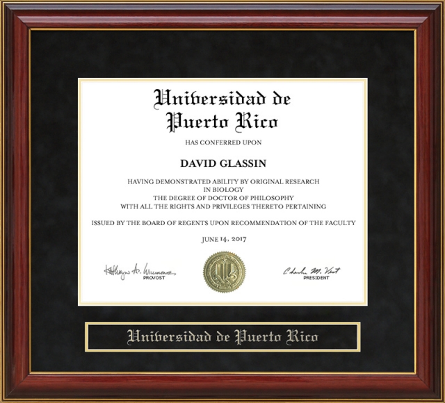 Universidad De Puerto Rico Gany Diploma Frame By Wordyisms Universidad De Puerto Rico Gany Diploma Frame
