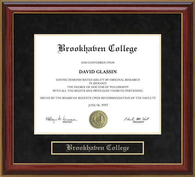 Brookhaven College Diploma Frame by Wordyisms