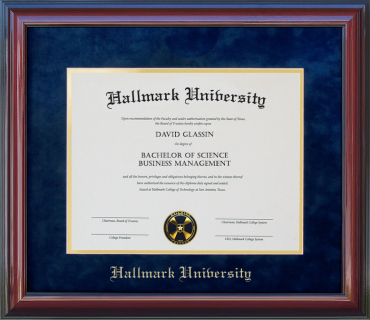 Hallmark University Classic Diploma Frame