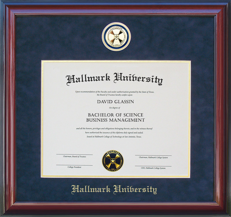 Hallmark University Diploma Frame with School Medallion