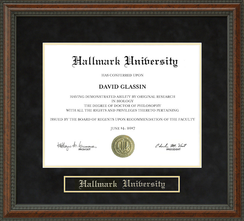 Hallmark University Diploma Frame