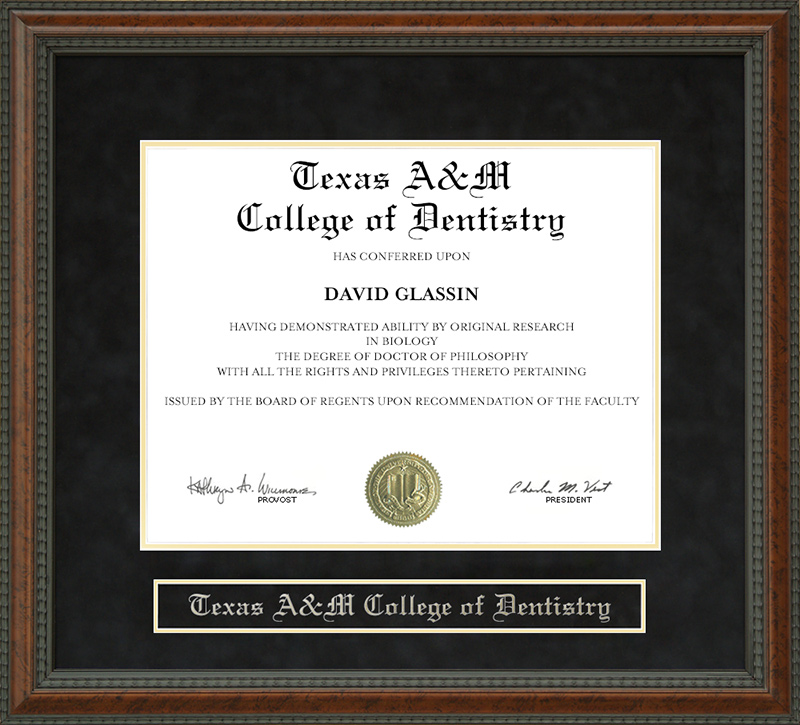 Texas A&M College of Dentistry Diploma Frame