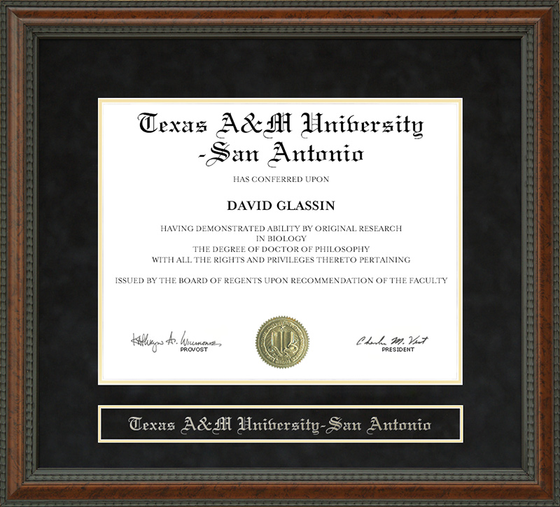 Texas A&M University-San Antonio Diploma Frame