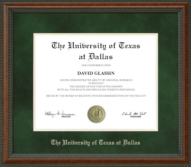 University of Texas Dallas Diploma Frame campus photo Graduation UTD Degree Gift 