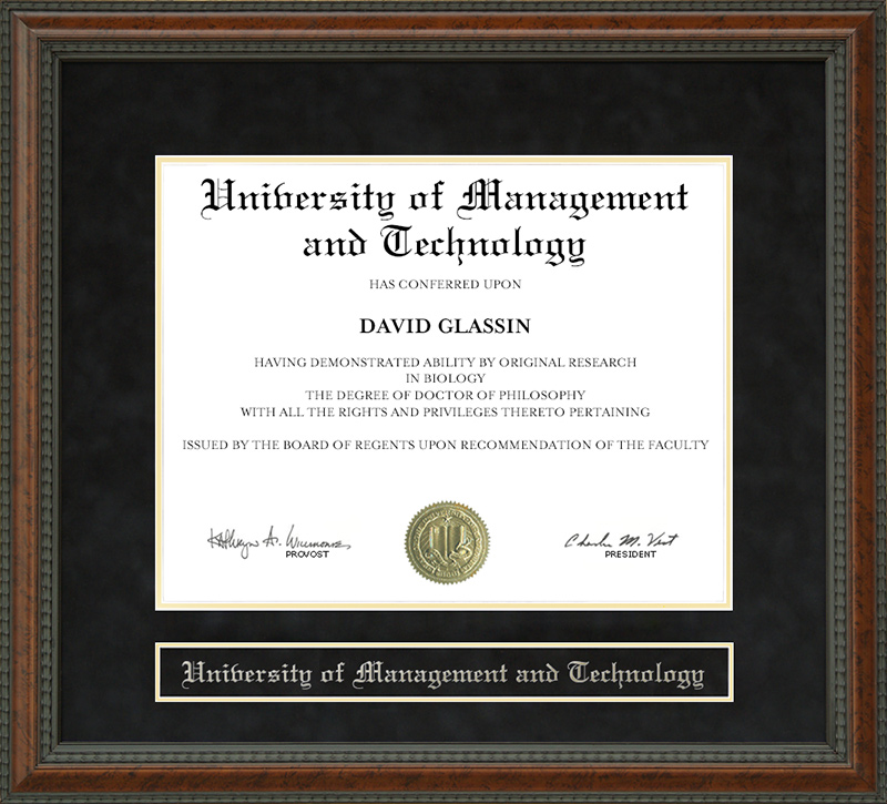 University of Management and Technology Diploma Frame
